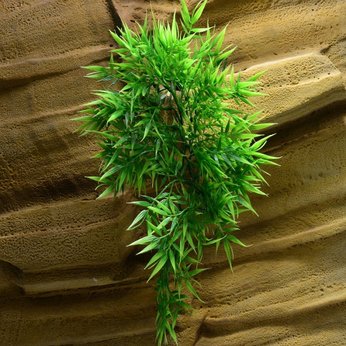Rostlina Madagascar Bamboo střední plast