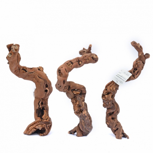 Vinná větev 35-45cm střední