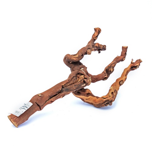 Vinná větev 45-70cm velká
